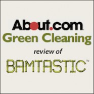 Online Review of Bamtastic Towels